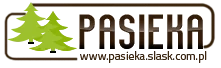 Tartak Przedsiębiorstwo produkcyjno-handlowo-transportowe Bogusław Pasieka logo